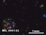 Thin Section Photo of Sample MIL 090132 in Cross-Polarized Light with 2.5X Magnification