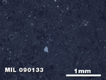 Thin Section Photo of Sample MIL 090133 in Reflected Light with 2.5X Magnification