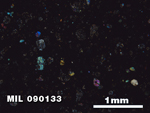 Thin Section Photo of Sample MIL 090133 in Cross-Polarized Light with 2.5X Magnification