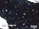 Thin Section Photo of Sample MIL 090134 in Plane-Polarized Light with 1.25X Magnification
