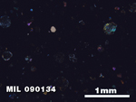 Thin Section Photo of Sample MIL 090134 in Cross-Polarized Light with 2.5X Magnification