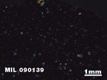 Thin Section Photo of Sample MIL 090139 in Cross-Polarized Light with 1.25X Magnification