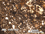 Thin Section Photo of Sample MIL 090153 at 2.5X Magnification in Plane-Polarized Light