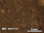 Thin Section Photo of Sample MIL 090170 at 2.5X Magnification in Reflected Light