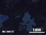 Thin Section Photo of Sample MIL 090172 at 2.5X Magnification in Cross-Polarized Light