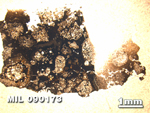 Thin Section Photo of Sample MIL 090173 at 1.25X Magnification in Plane-Polarized Light