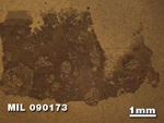 Thin Section Photo of Sample MIL 090173 at 1.25X Magnification in Reflected Light