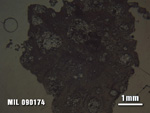 Thin Section Photo of Sample MIL 090174 at 1.25X Magnification in Reflected Light