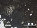 Thin Section Photo of Sample MIL 090174 at 2.5X Magnification in Plane-Polarized Light