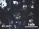 Thin Section Photo of Sample MIL 090177 at 2.5X Magnification in Plane-Polarized Light