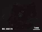 Thin Section Photo of Sample MIL 090178 at 1.25X Magnification in Cross-Polarized Light