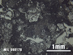 Thin Section Photo of Sample MIL 090178 at 2.5X Magnification in Reflected Light