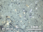 Thin Section Photo of Sample MIL 090180 at 2.5X Magnification in Plane-Polarized Light