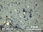Thin Section Photo of Sample MIL 090180 at 2.5X Magnification in Reflected Light
