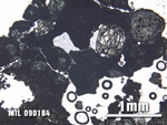 Thin Section Photo of Sample MIL 090184 at 2.5X Magnification in Plane-Polarized Light