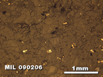Thin Section Photo of Sample MIL 090206 at 2.5X Magnification in Reflected Light
