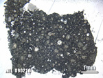 Thin Section Photo of Sample MIL 090216 at 1.25X Magnification in Plane-Polarized Light