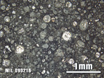 Thin Section Photo of Sample MIL 090216 at 2.5X Magnification in Plane-Polarized Light