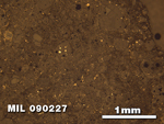 Thin Section Photo of Sample MIL 090227 at 2.5X Magnification in Reflected Light