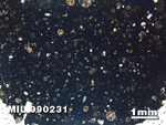 Thin Section Photo of Sample MIL 090231 in Plane-Polarized Light with 1.25X Magnification