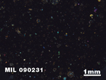 Thin Section Photo of Sample MIL 090231 in Cross-Polarized Light with 1.25X Magnification
