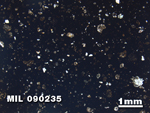 Thin Section Photo of Sample MIL 090235 in Plane-Polarized Light with 1.25X Magnification