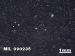 Thin Section Photo of Sample MIL 090235 in Reflected Light with 1.25X Magnification