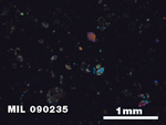 Thin Section Photo of Sample MIL 090235 in Cross-Polarized Light with 2.5X Magnification
