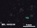 Thin Section Photo of Sample MIL 090236 in Cross-Polarized Light with 2.5X Magnification