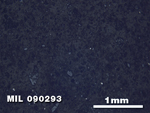 Thin Section Photo of Sample MIL 090293 in Reflected Light with 2.5X Magnification