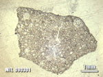 Thin Section Photo of Sample MIL 090301 at 1.25X Magnification in Reflected Light