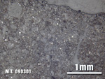 Thin Section Photo of Sample MIL 090301 at 2.5X Magnification in Reflected Light