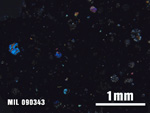 Thin Section Photo of Sample MIL 090343 at 2.5X Magnification in Cross-Polarized Light
