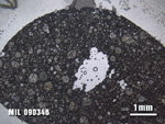 Thin Section Photo of Sample MIL 090346 at 1.25X Magnification in Plane-Polarized Light