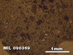 Thin Section Photo of Sample MIL 090369 at 2.5X Magnification in Reflected Light