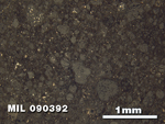 Thin Section Photo of Sample MIL 090392 at 2.5X Magnification in Reflected Light