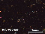 Thin Section Photo of Sample MIL 090428 at 2.5X Magnification in Cross-Polarized Light