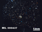 Thin Section Photo of Sample MIL 090437 at 1.25X Magnification in Cross-Polarized Light