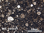 Thin Section Photo of Sample MIL 090437 at 2.5X Magnification in Plane-Polarized Light