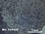 Thin Section Photo of Sample MIL 090440 at 2.5X Magnification in Reflected Light