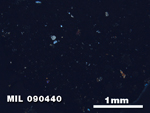 Thin Section Photo of Sample MIL 090440 at 2.5X Magnification in Cross-Polarized Light