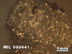 Thin Section Photo of Sample MIL 090441 in Reflected Light with 1.25X Magnification