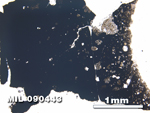 Thin Section Photo of Sample MIL 090443 at 2.5X Magnification in Plane-Polarized Light