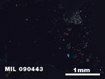 Thin Section Photo of Sample MIL 090443 at 2.5X Magnification in Cross-Polarized Light