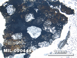 Thin Section Photo of Sample MIL 090444 at 2.5X Magnification in Plane-Polarized Light