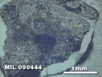 Thin Section Photo of Sample MIL 090444 at 2.5X Magnification in Reflected Light