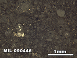 Thin Section Photo of Sample MIL 090446 at 2.5X Magnification in Reflected Light