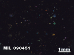 Thin Section Photo of Sample MIL 090451 in Cross-Polarized Light with 1.25X Magnification