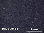 Thin Section Photo of Sample MIL 090451 in Reflected Light with 2.5X Magnification