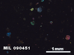 Thin Section Photo of Sample MIL 090451 in Cross-Polarized Light with 2.5X Magnification